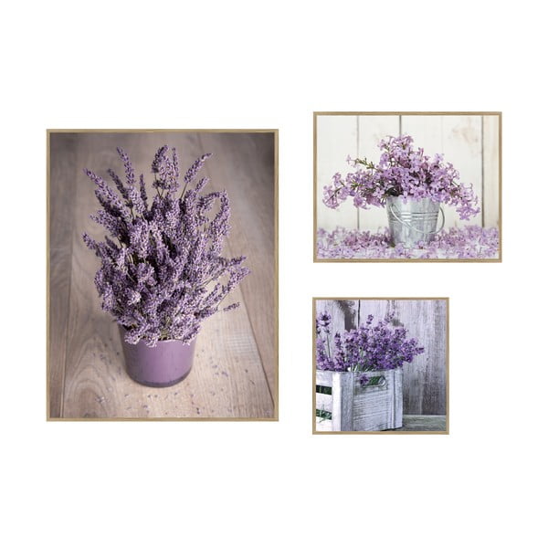 Obrazy v súprave 3 ks 40x50 cm Purple Flowers – knor