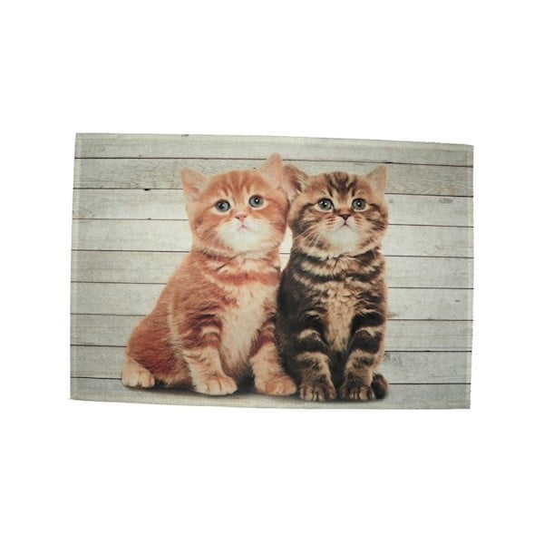 Prestieranie Mars&More Two Kitten British Shorthare, 40 x 30 cm