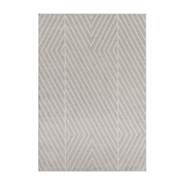 Svetlosivý koberec 200x290 cm Muse – Asiatic Carpets