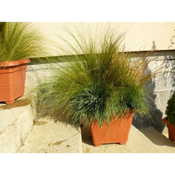 Hnedý samozavlažovací kvetináč Plastia Bergamot, 50 x 50 cm-image-1