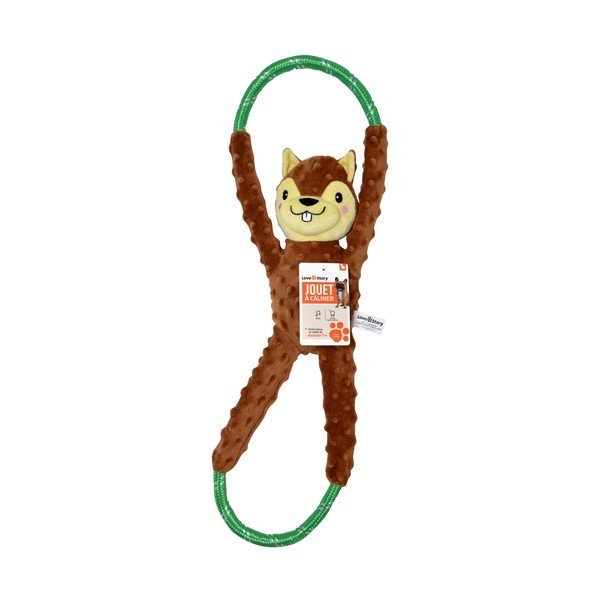 Hračka pre psa Squirrel – Love Story-image-1