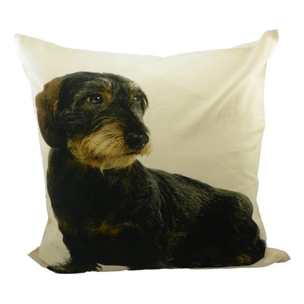 Vankúš Mars&More Dog 50 x 50 cm