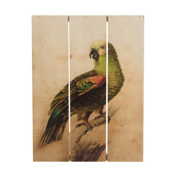 Drevený obraz Dijk Natural Collections Parrot, 19 x 25 cm