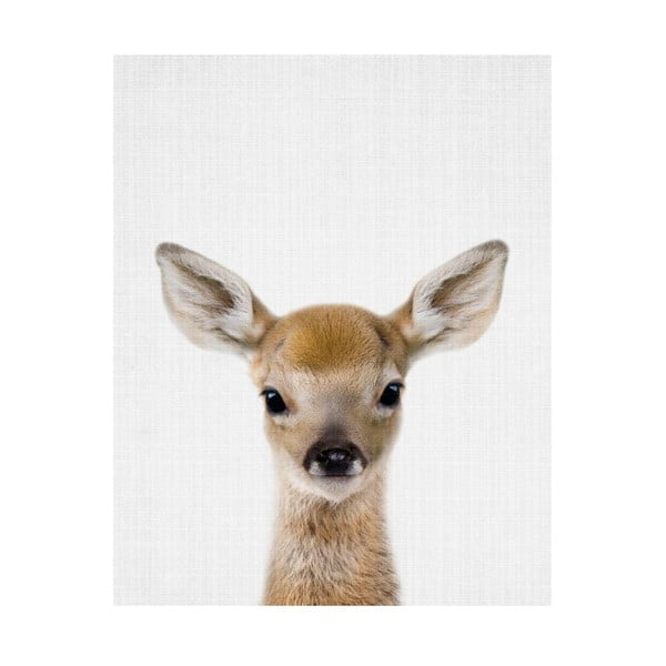 Plagát Blue-Shaker Baby Animals Deer, 30 x 40 cm