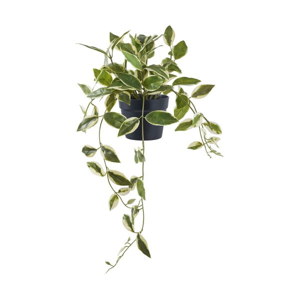 Umelá rastlina (výška 33 cm) Hoya Carnosa – House Nordic