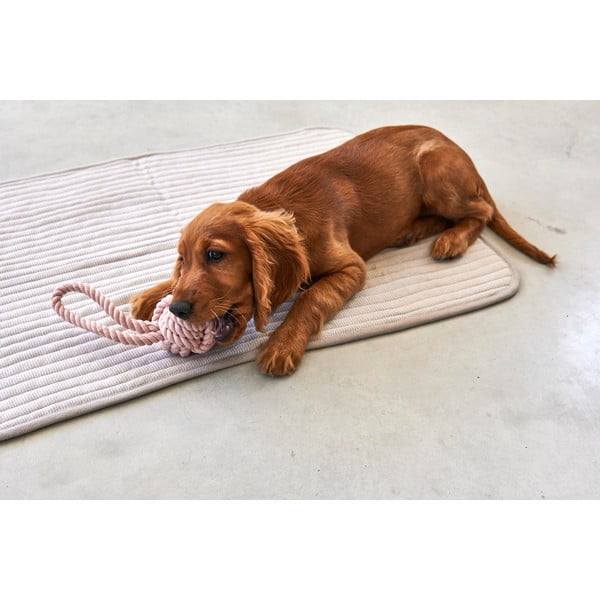 Sivá bavlnená deka pre psa 60x80 cm Onda Greige S – MiaCara-image-3