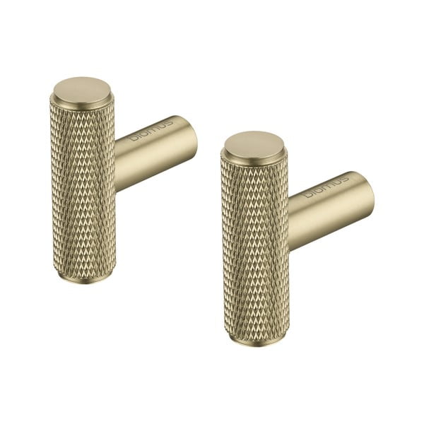 Nástenné kovové háčiky v súprave v mosadznej farbe 2 ks Rof – Blomus