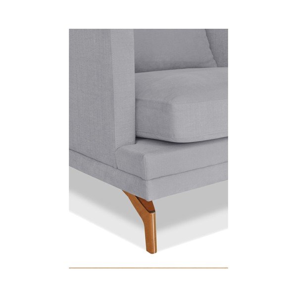 Sivá trojmiestna pohovka Windsor & Co. Sofas Jupiter-image-3