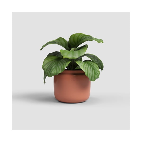 Keramický ručne vyrobený kvetináč ø 20 cm Astrea – Artevasi-image-1