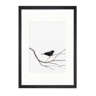 Plagát 24x29 cm Bird on the Branch - Tablo Center