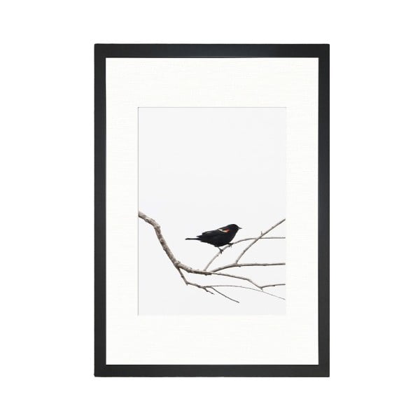 Plagát 24x29 cm Bird on the Branch - Tablo Center