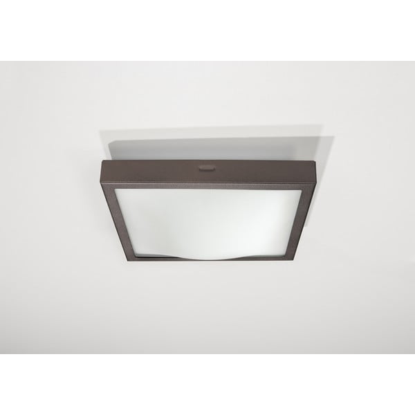 Stropné svetlo Sollux Nebris, 22 × 22 cm-image-3