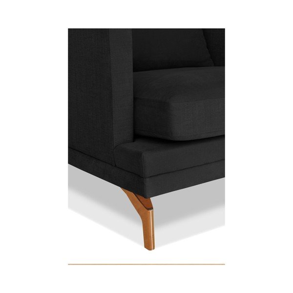 Tmavosivá trojmiestna pohovka Windsor & Co. Sofas Jupiter-image-2