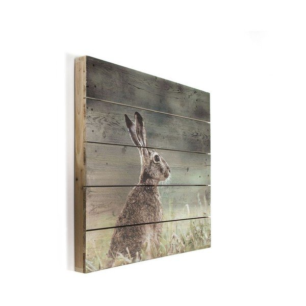 Drevený obraz Graham & Brown Hare, 50 × 50 cm-image-2