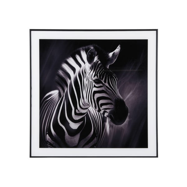 Obraz 50x50 cm Zebra - PT LIVING