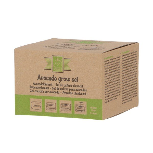 Sklenená klíčiaca miska ø 14 cm Avocado – Esschert Design-image-4