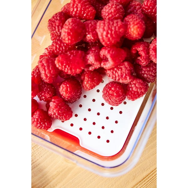 Plastový organizér do chladničky Cauma – Rotho-image-4