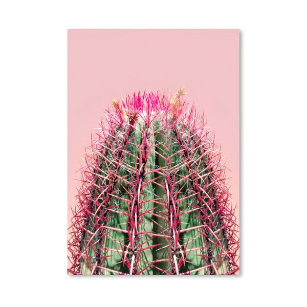 Plagát Americanflat Cactus On Pink, 30 × 42 cm
