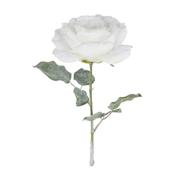 Biela dekoratívna ruža J-Line Rose