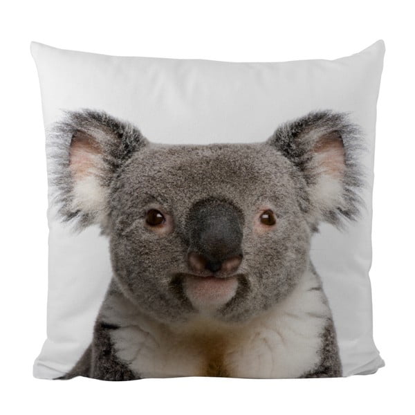 Vankúš Butter Kings Cute Koala
