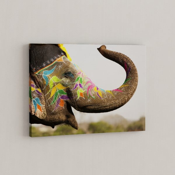 Obraz Šťastný slon, 50x70 cm