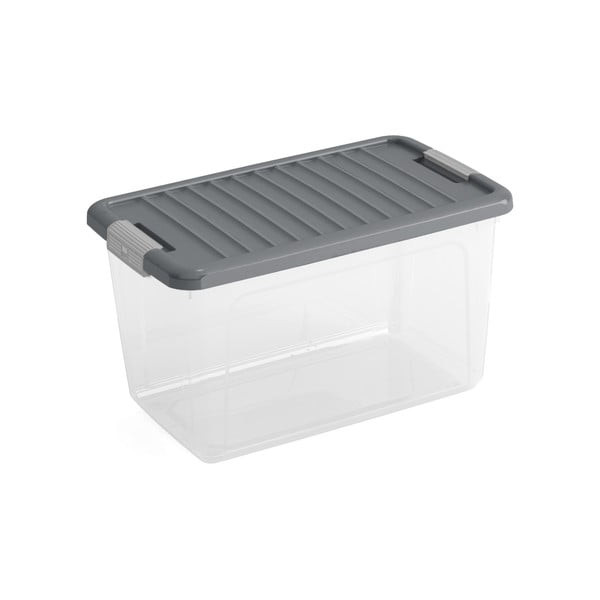 Plastový úložný box s vekom 49x30x28, 5 cm W box M – KIS