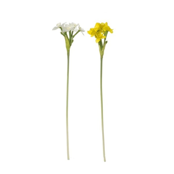 Dekoratívne kvety Heaven Sends Narcissi