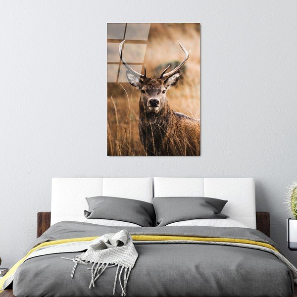 Sklenený obraz 70x100 cm Deer - Wallity-image-4