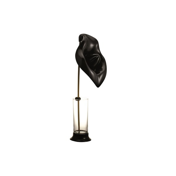 Odšťavovač s pohárom Anthurium Black