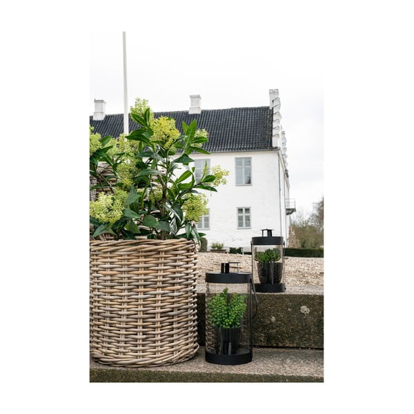 Umelá rastlina Skimmia – House Nordic-image-4