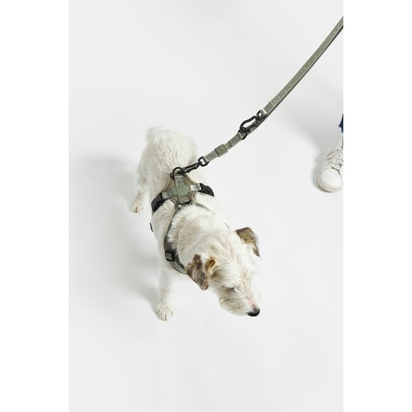 Béžová prepínacia vôdzka dĺžka 200 cm Modena Greige 20 mm – MiaCara-image-4