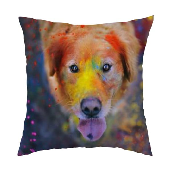 Vankúš Colorful Dog, 40x40 cm