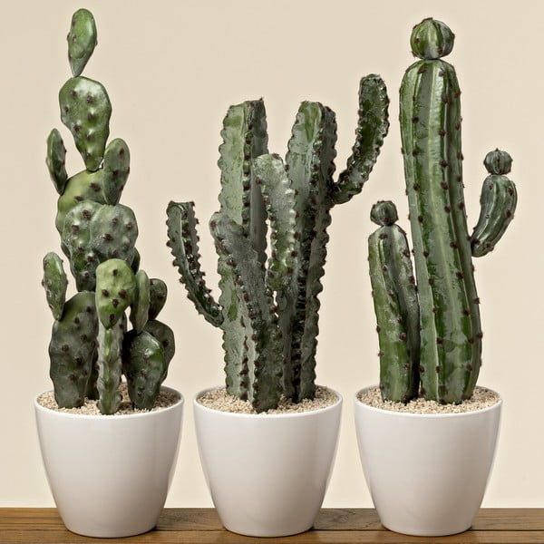 Sada 3 dekoratívnych kaktusov s kvetináčom Boltze Tusca