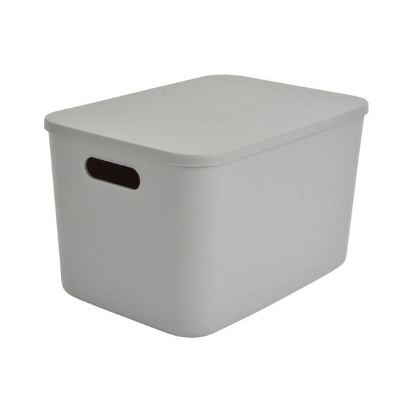 Sivý plastový úložný box s vekom 35,5x25,5x23 cm – Homéa