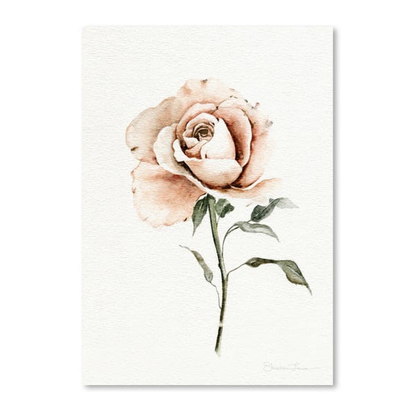 Plagát Single Peach Rose by Shealeen Louise, 30 x 42 cm