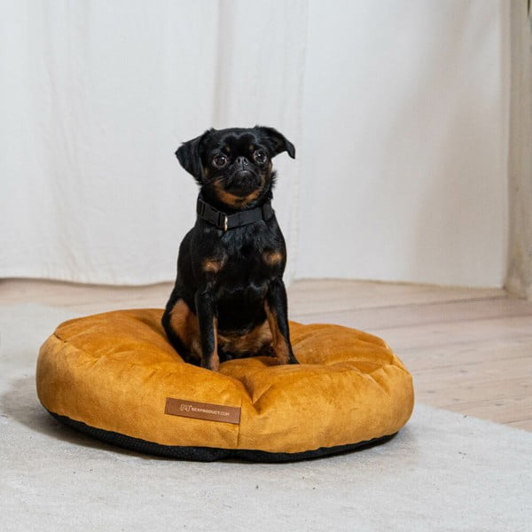 Žltý matrac pre psa ø 50 cm Coco S – Rexproduct-image-1