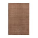 Hnedý koberec 160x240 cm Fancy – Hanse Home