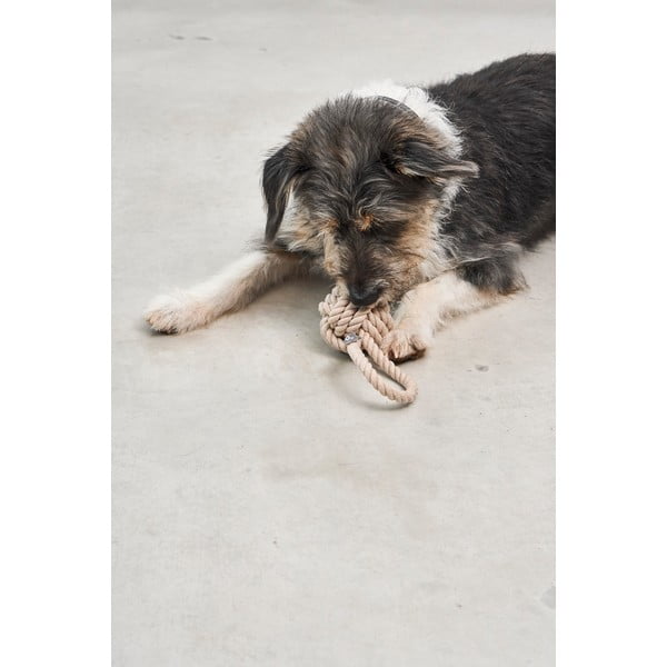 Hračka pre psa Nodo Greige – MiaCara-image-1