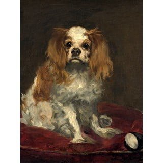 Reprodukcia obrazu Édouard Manet - A King Charles Spaniel, 40 x 30 cm