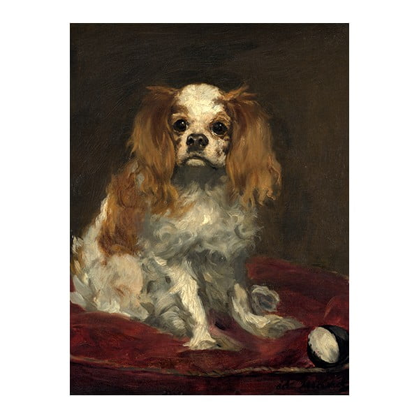 Reprodukcia obrazu Édouard Manet - A King Charles Spaniel, 40 x 30 cm