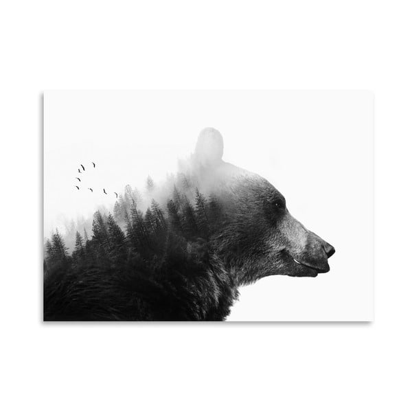 Plagát Americanflat Big Bear, 30 × 42 cm
