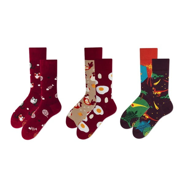 Set ponožiek v darčekovom balení Many Mornings Crazy Week, veľ. 43–46
