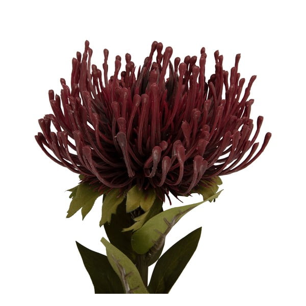 Umelá kvetina (výška 60 cm) Protea – PT LIVING-image-1