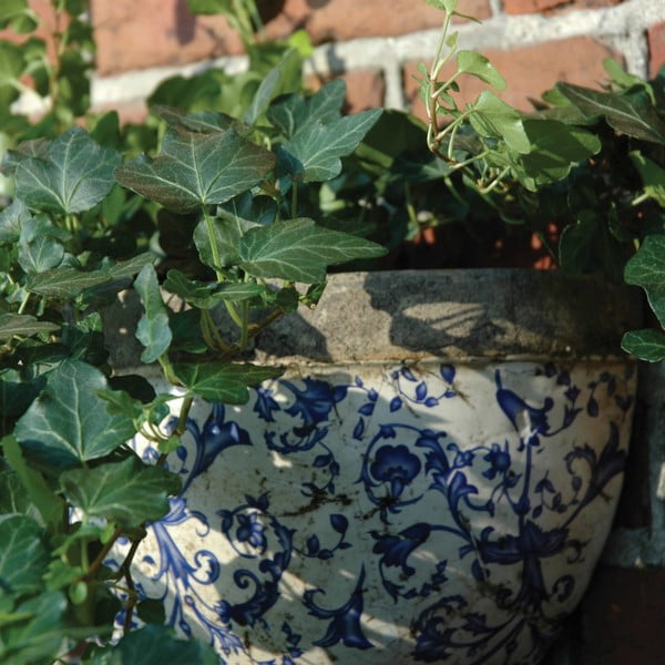 Keramický závesný a nástenný  kvetináč – Esschert Design-image-2