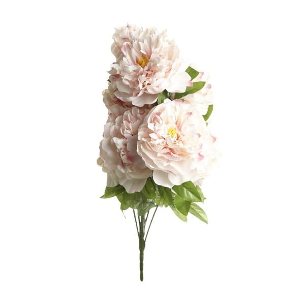 Ružová dekoratívna kvetina Heaven Sends Peony
