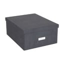 Úložný box s vekom Katrin – Bigso Box of Sweden