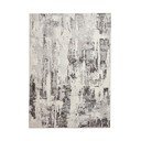 Sivý/béžový koberec 220x160 cm Apollo - Think Rugs