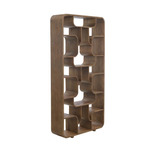 Regál z mangového dreva v tmavo prírodnej farbe 100x200x30 cm Labare – Light & Living