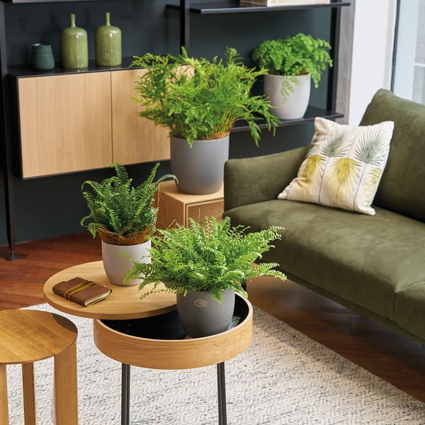 Keramický kvetináč ø 24 cm Basel Stone - Big pots-image-1