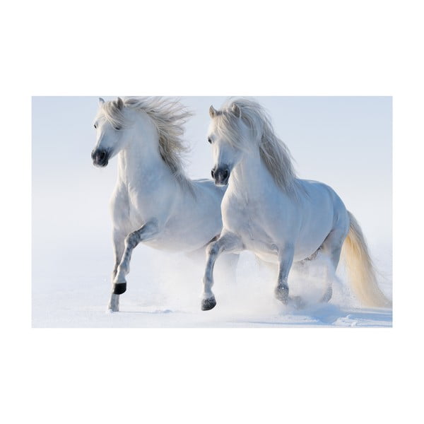 Obraz Na bielom koni, 45x70 cm
